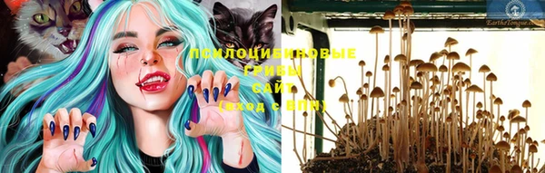 дурь Абинск