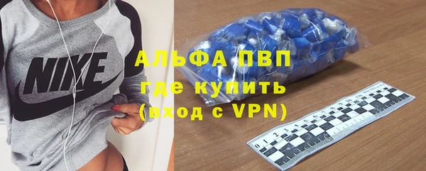 прущие грибы Вязники